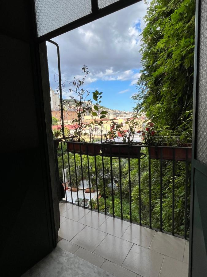 Apartment Casetta Gioia